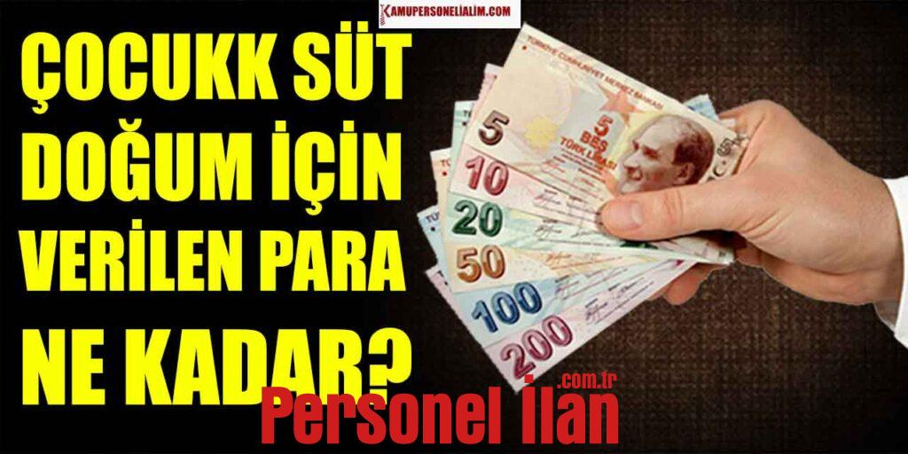 Çocuk Süt Parası ve Doğum Parası Desteği Ne Kadar?