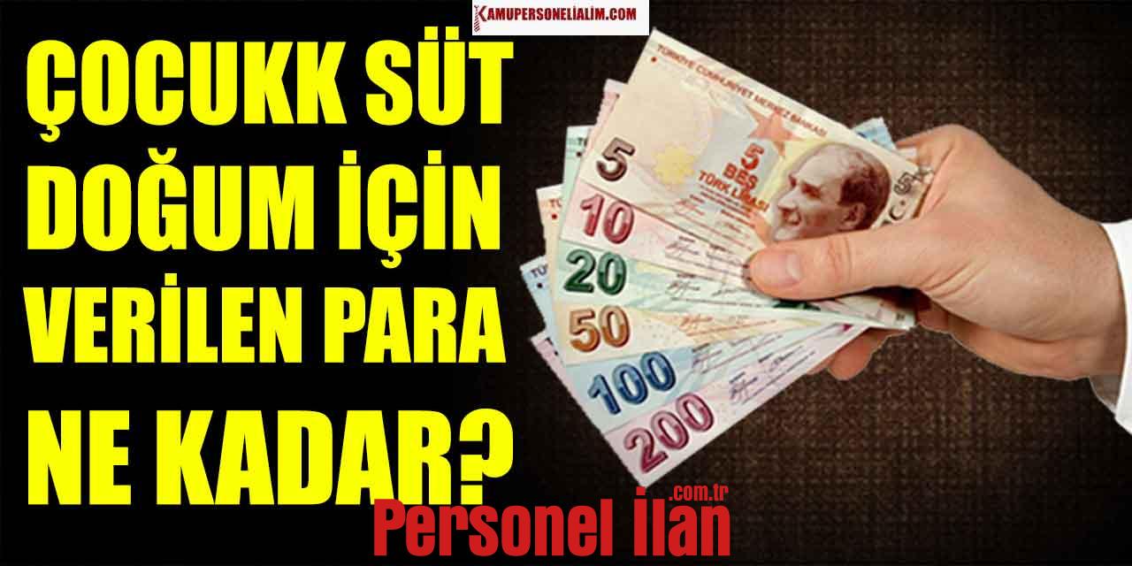 Çocuk Süt Parası ve Doğum Parası Desteği Ne Kadar?