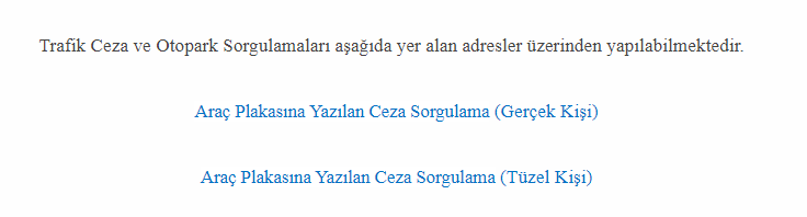 Plakadan trafik cezası sorgulama nasıl yapılır? Cezam olup olmadığını nasıl öğrenebilirim? - Resim : 2