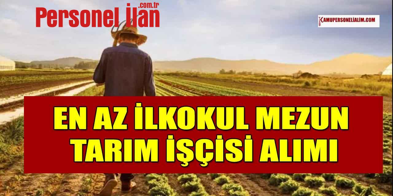 Tarın Araştırma Enstitüsü En Az İlkokul Mezun Tarım İşçisi Alacak