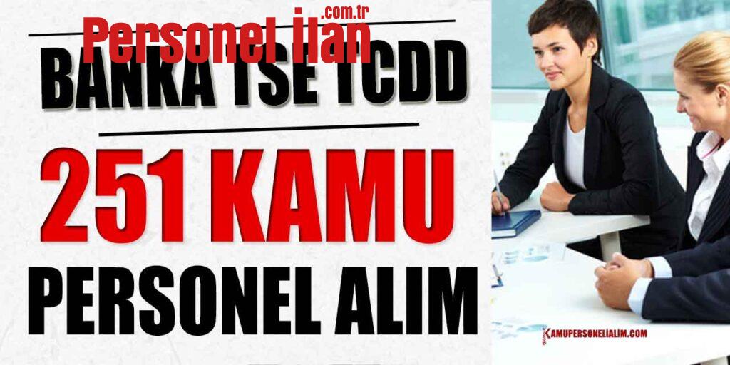 TSE, Banka ve TCDD 13100 TL Maaş 215 Kamu Personeli Alımı