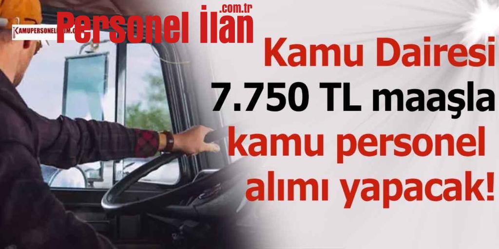 Şoför Alımı İş İlanları! Kamu Dairesi 7750 TL Maaşla Sözleşmeli Personel Alımı