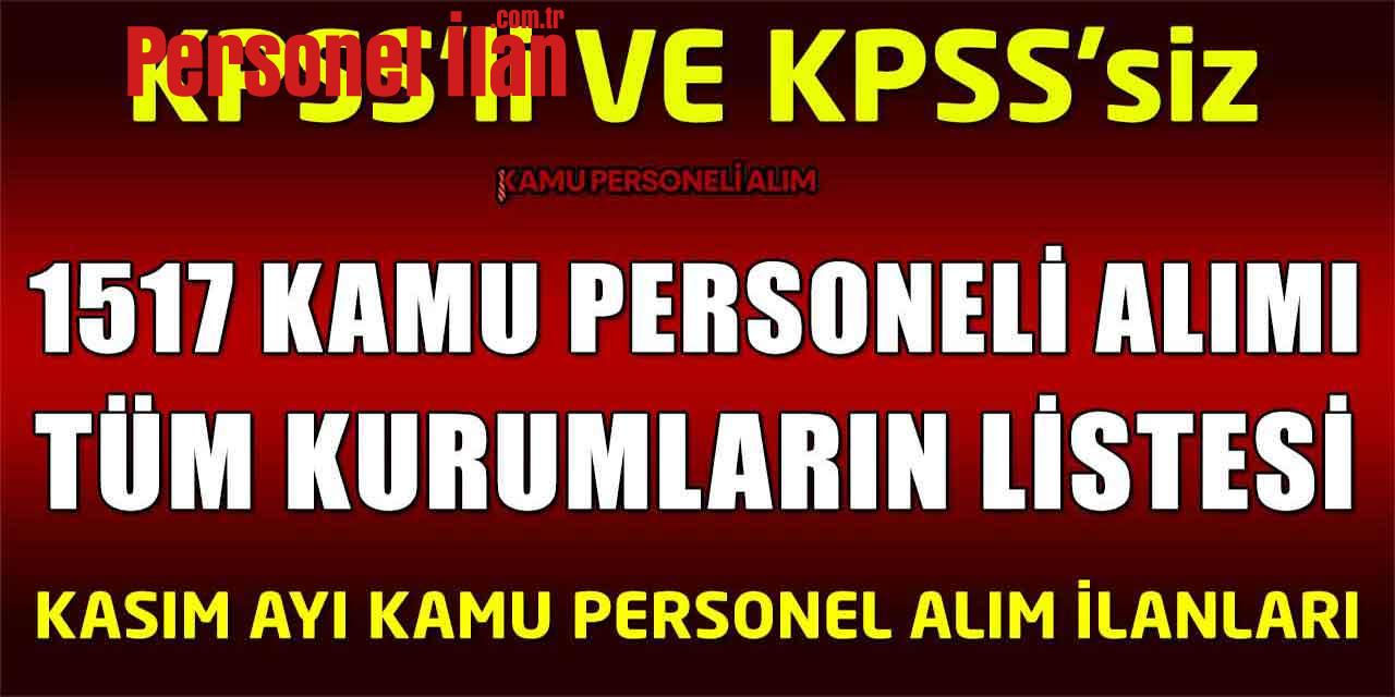 Devlet Daireleri Kasım Ayı 1517 Kamu Personeli Alımı