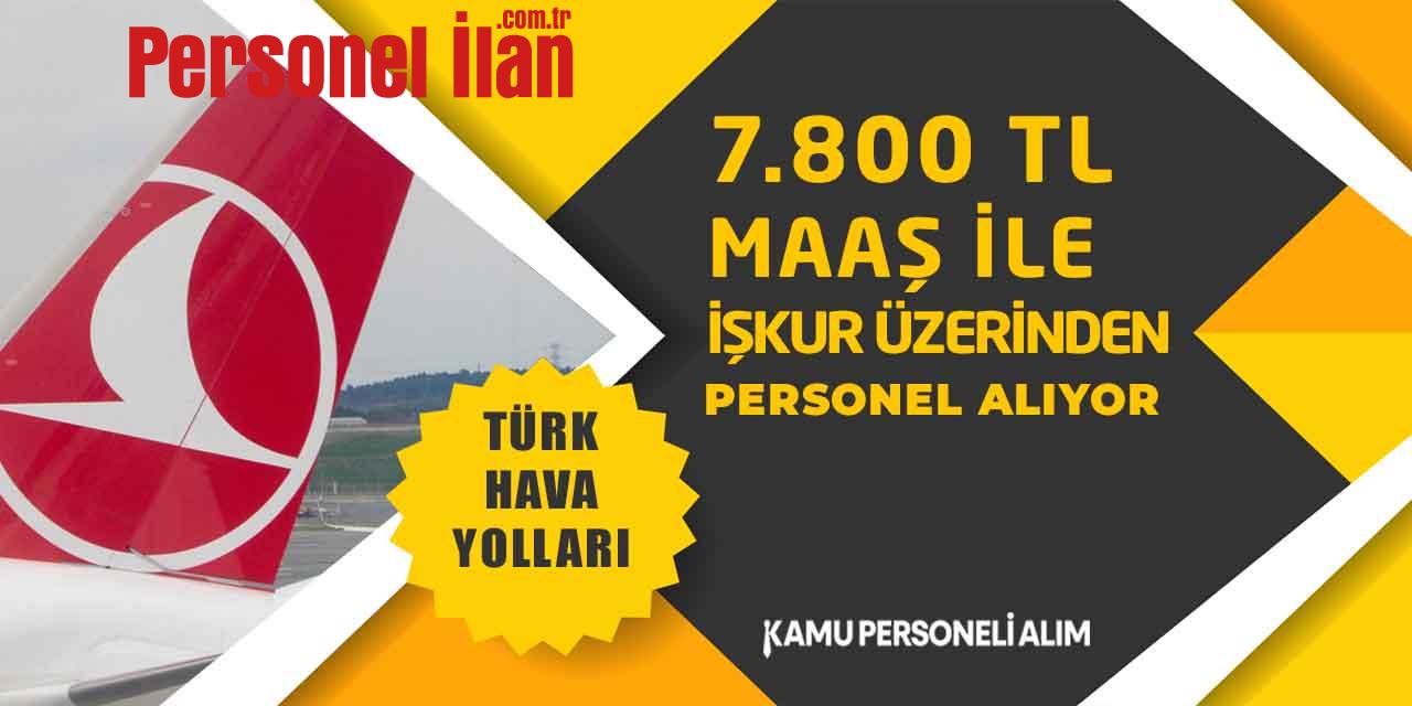 Türk Havayolları Büro Memuru Alımı! THY 45 Üst Yaş Sınırlı