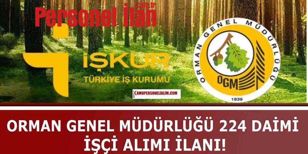 Orman Genel Müdürlüğü 224 Daimi İşçi Alımı İlan! OGM TMY ve Eski Hükümlü