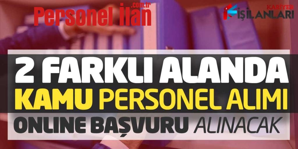 2 Farklı Alanda Kamu Personel Alımı Online Başvuruları Alınacak