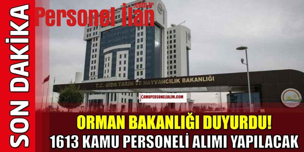 Orman Bakanlığı Duyurdu! 1613 Yeni Kamu Personeli Alımı İlanı