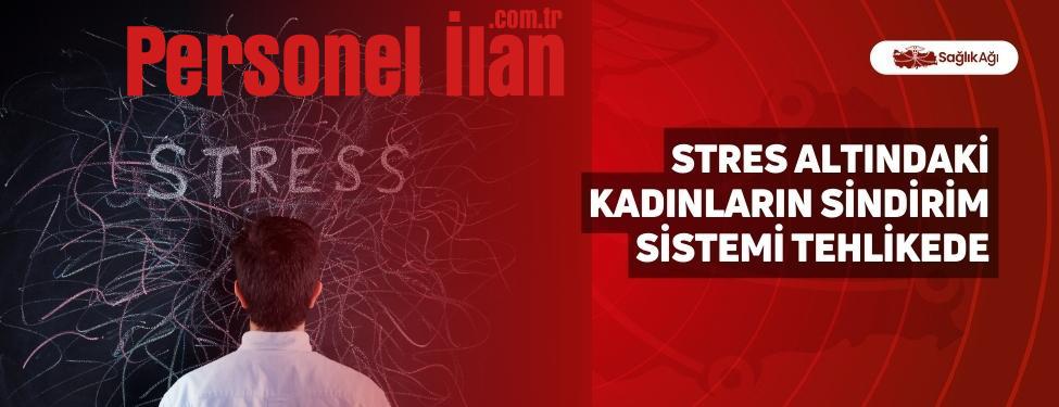 Stres Altındaki Kadınların Sindirim Sistemi Tehlikede