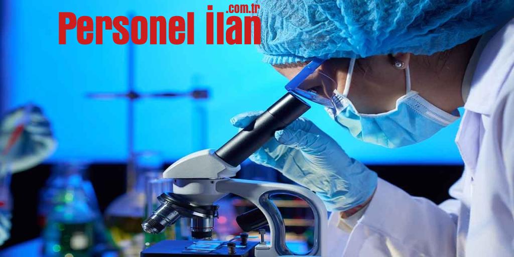 Bilim İnsanı Kriterleri Öğrenim Şartları ve Maaşları