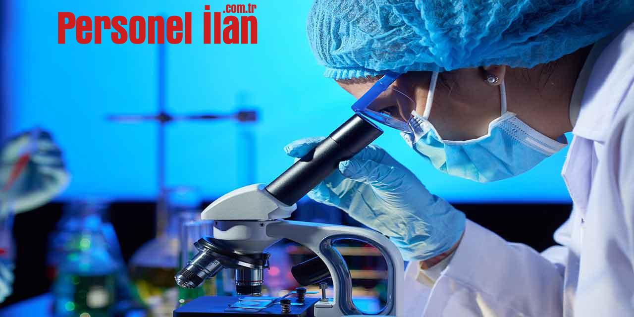 Bilim İnsanı Kriterleri Öğrenim Şartları ve Maaşları