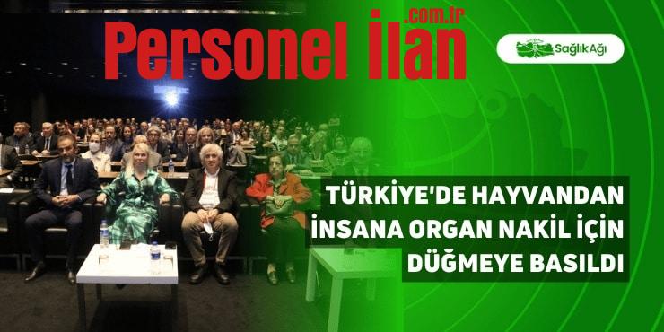 Türkiye’de Hayvandan İnsana Organ Nakli İçin Düğmeye Basıldı
