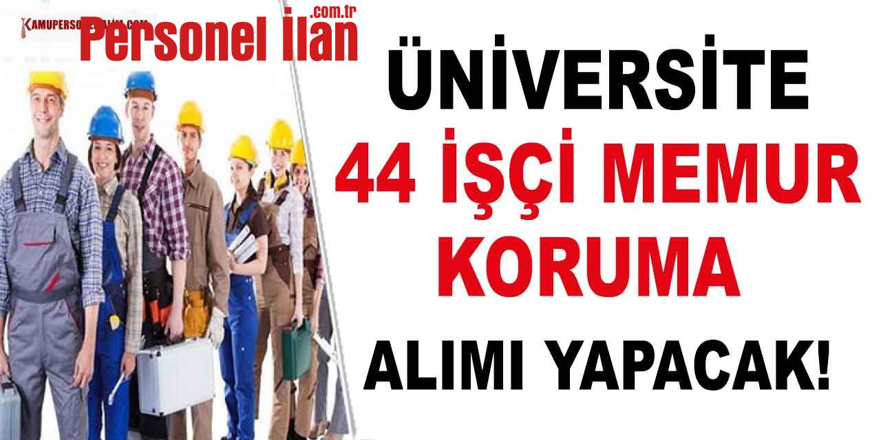 Üniversite 44 İşçi, Memur ve Koruma Alacak! 2023 İş İlanları