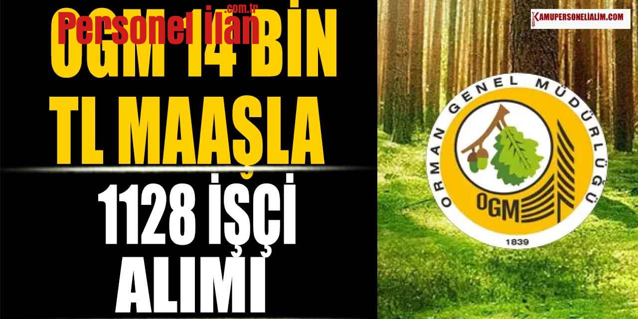 OGM, 14 Bin TL Maaşla 1128 İşçi Alacağını İlan Etti! Türkiye Geneli