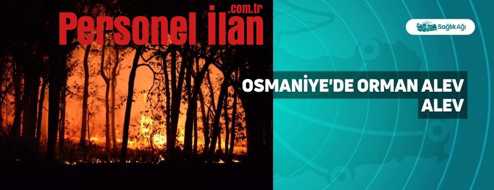 osmaniyede-orman-alev-alev