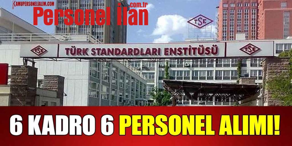 TSE 6 Kadro 6 Personel Alımı! Başvuru Ekranı