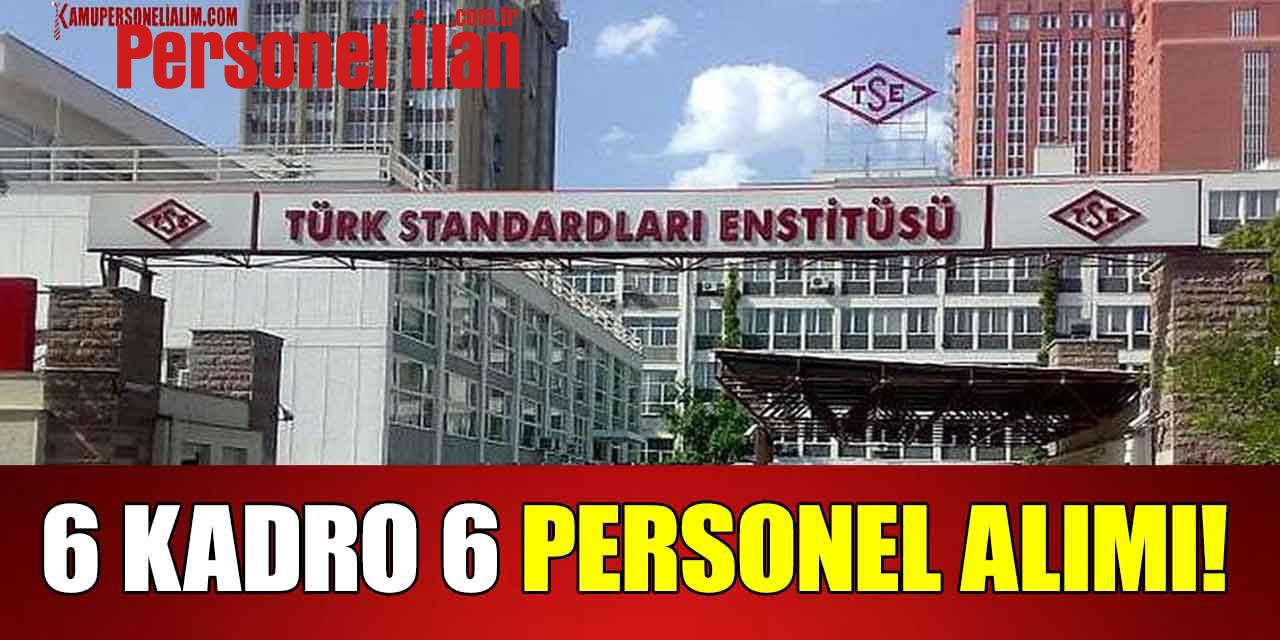 TSE 6 Kadro 6 Personel Alımı! Başvuru Ekranı