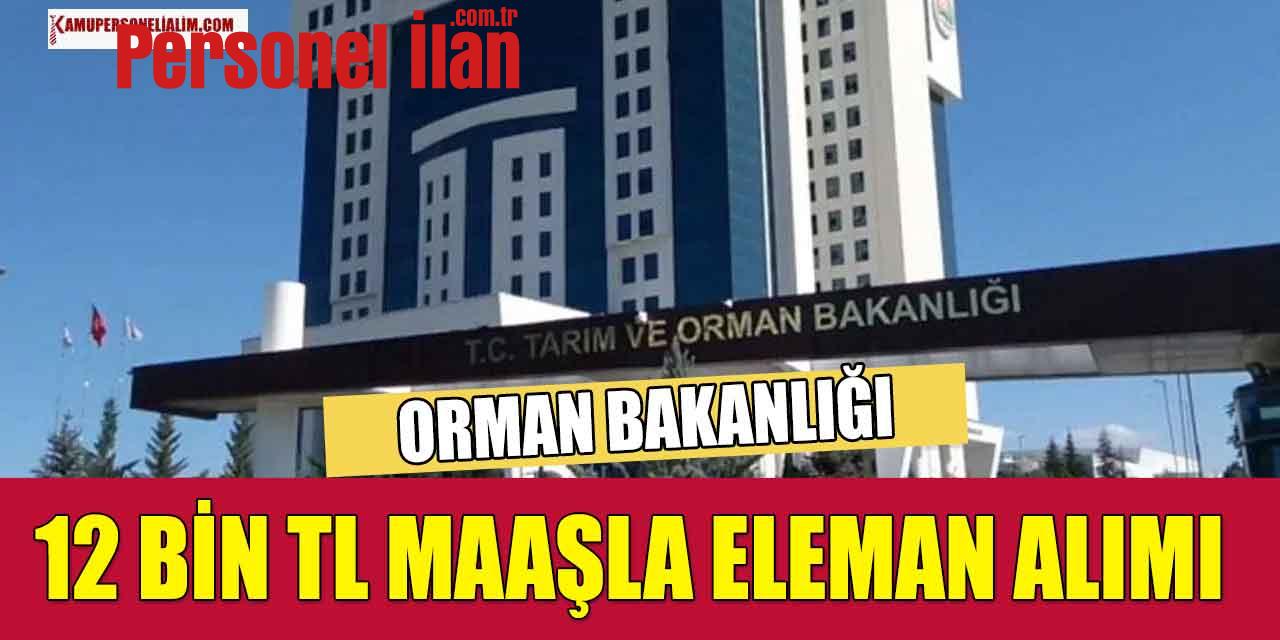 Tarım ve Orman Bakanlığı 12 Bin TL Maaşla Eleman Alımı