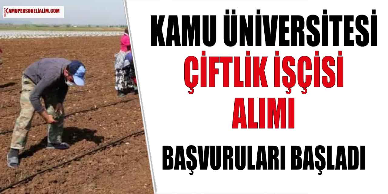 Kamu İlanı! Üniversite İdari İşler Daire Başkanlığı 35 Çiftlik işçisi Alımı