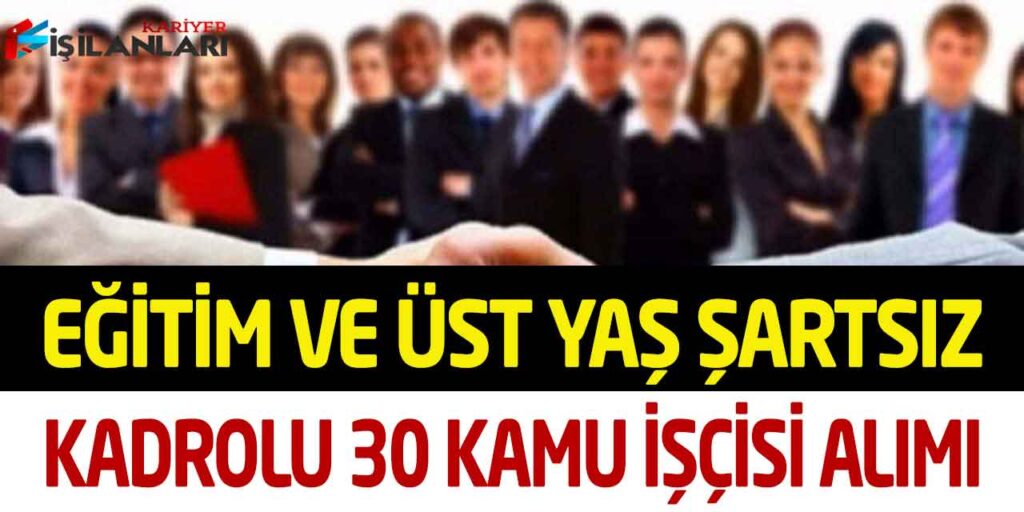 Kamu Kurumu Eğitim ve Üst Yaş Şartsız Kadrolu 30 Personel Alımı