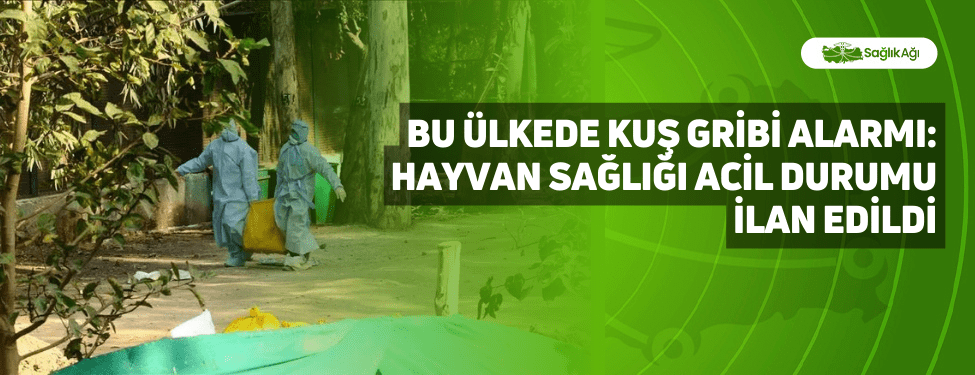 Bu Ülkede Kuş Gribi Alarmı: Hayvan Sağlığı Acil Durumu İlan Edildi