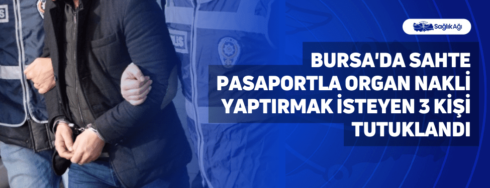 Bursa