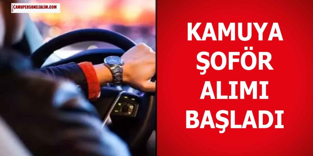 Kamuya Daimi Şoför Alımı İş İlanları! İŞKUR 2023