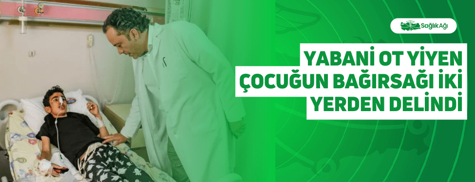 Yabani Ot Yiyen Çocuğun Bağırsağı İki Yerden Delindi