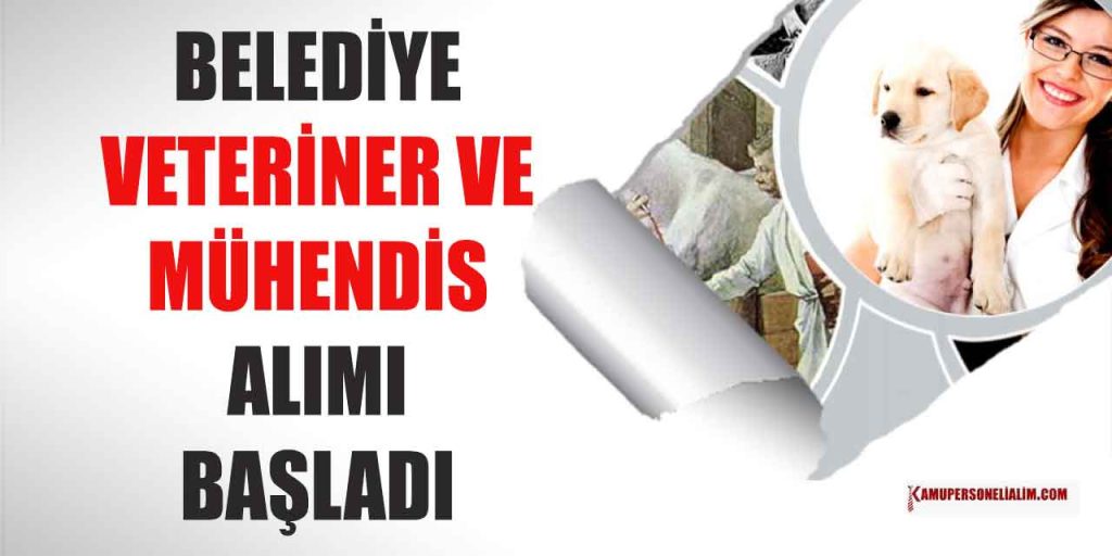 Gerede Belediyesi 2 Mühendis ve Veteriner Alımı Olacak (KPSS 65)