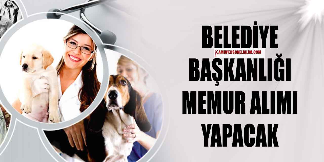 Cide Belediyesi 2 Unvanda İkamet Şartsız Memur Alımı Başvuruları