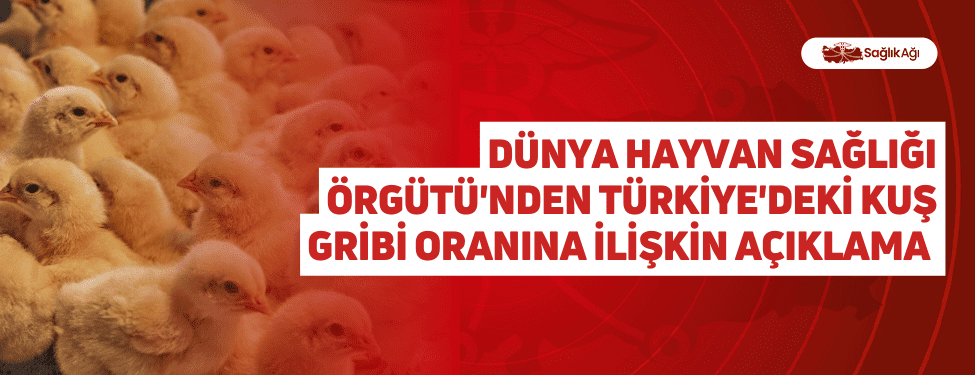 Dünya Hayvan Sağlığı Örgütü