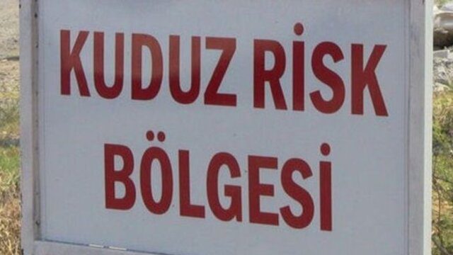 sahibini isıran köpek kuduz çıktı, 3 köy karantinaya alındı!