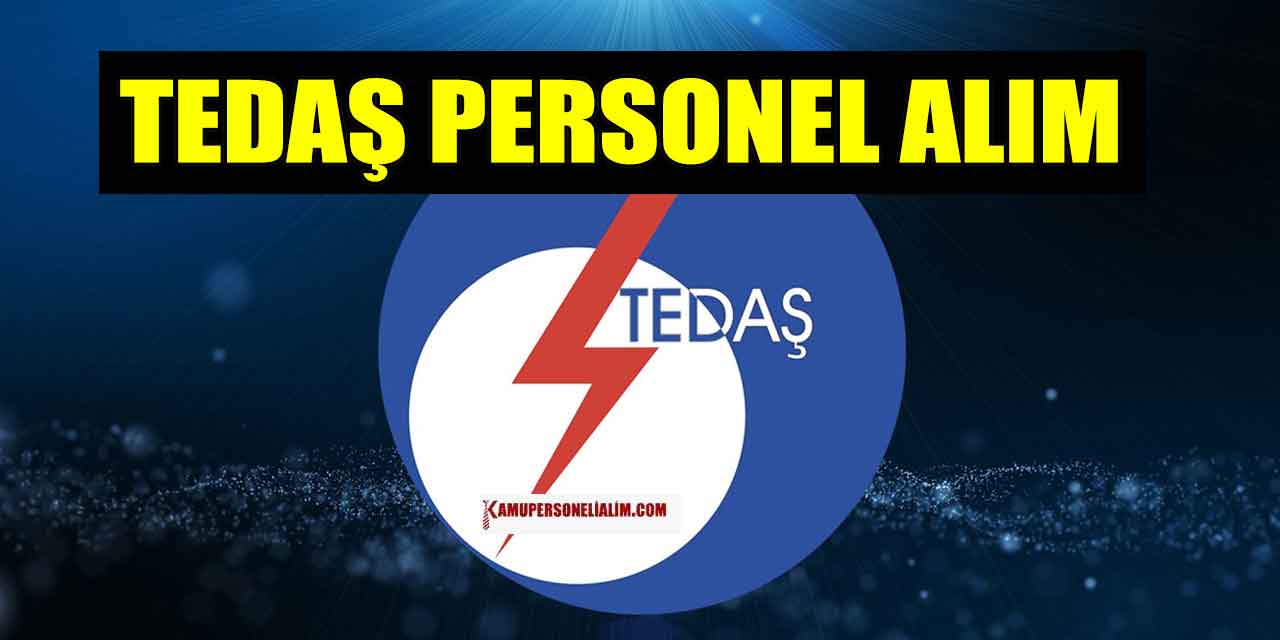 TEDAŞ Teftiş Kurulu 5 Kamu Personeli Alımı Başladı