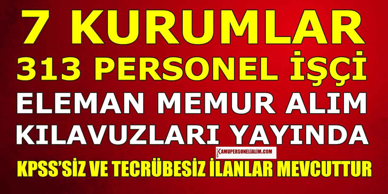 7 Kurum 313 İşçi, Memur, Eleman ve Kamu Personeli Alımı İlanları