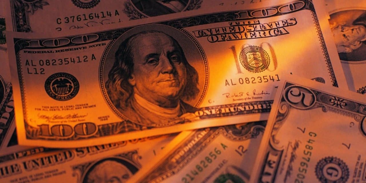 2024'ün Ekonomik Fırtınası: Dolar Kuru Neden Uçuşa Geçiyor?