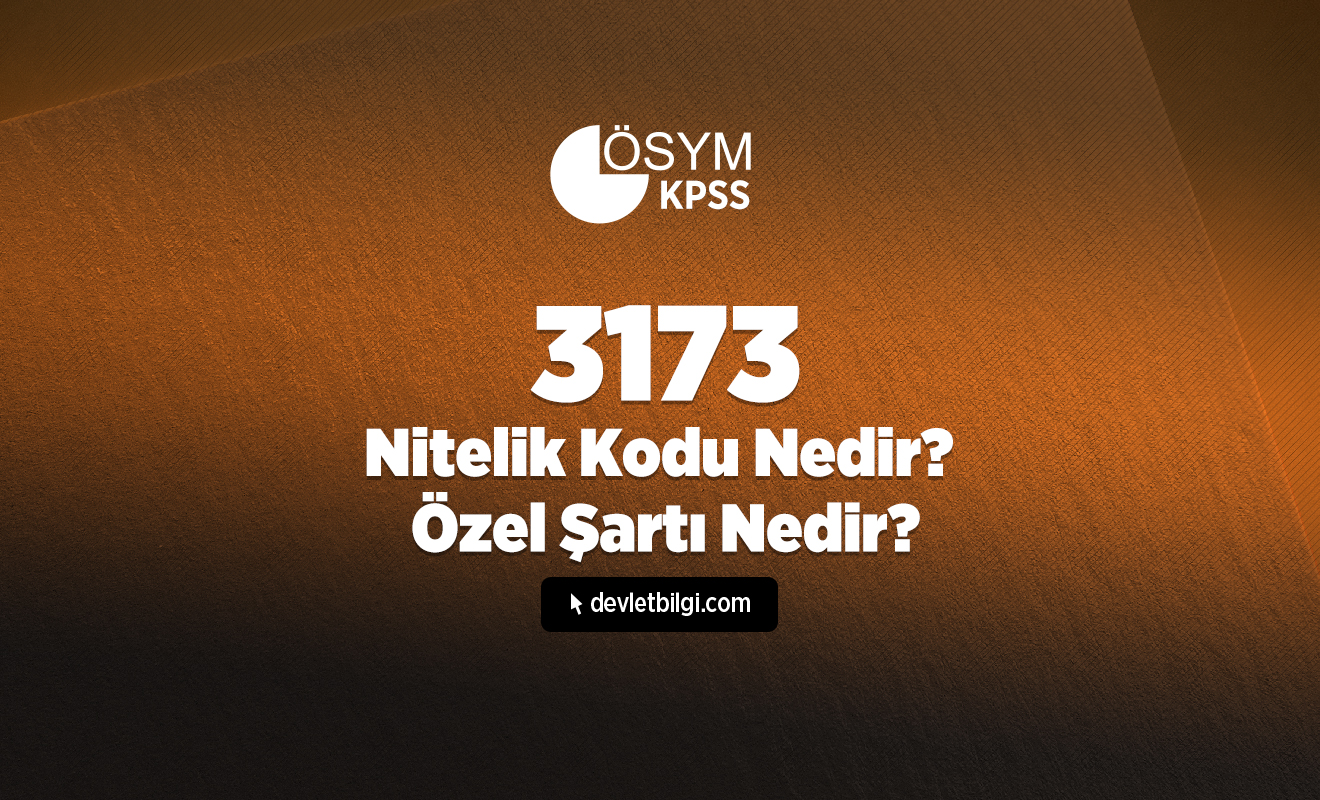 3173 Nitelik Kodu Nedir? 3173 Özel Şartı Nedir? – Personelilan.com.tr