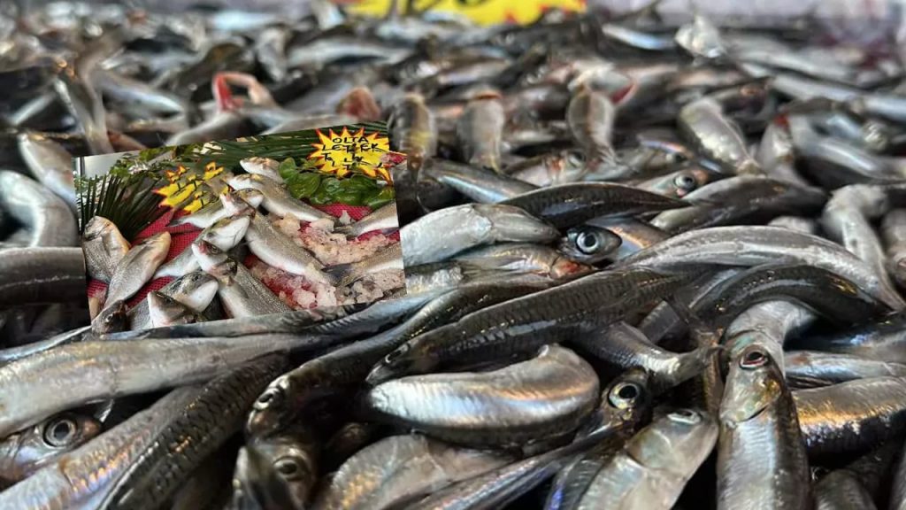 Kışın Beyaz Örtüsü Balık Piyasasını Altüst Etti: Hamsiden Toriğe Fiyat Fırtınası!