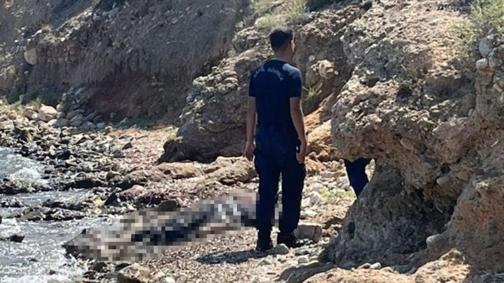 Muğla Köyceğiz'de Sahilde Bulunan Gizemli Kadın Cesedi: Kayıp Parçalar ve Göçmen Şüphesi