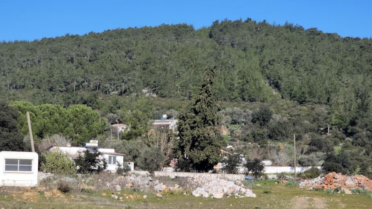 Bodrum Sazköy'de Taş Ocağı Tehdidi: Doğanın Çığlığı