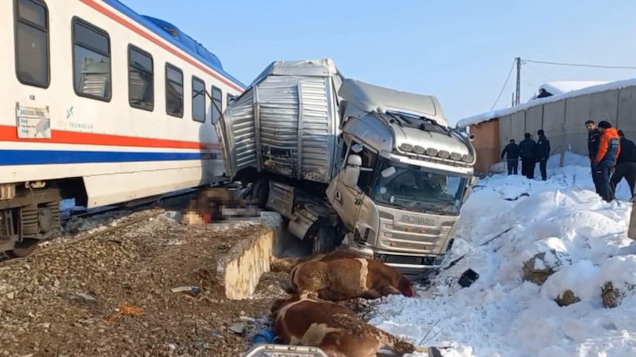 Muş'ta Trajik Tren Kazası: İki Kişi Hayatını Kaybetti, Yüksek Hızlı Tren Boğalarla Dolu TIR'a Çarptı