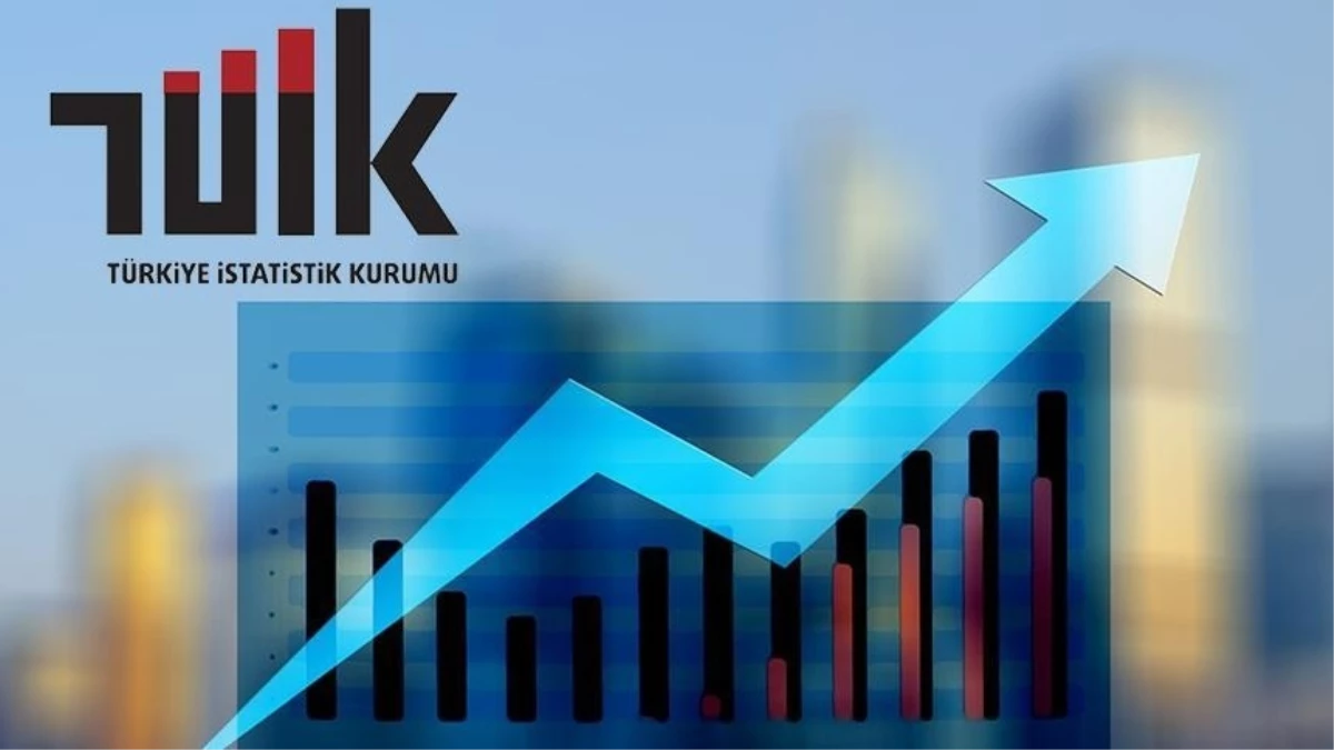 Ocak Ayında Ekonomik Termometre: Enflasyon Rakamlarının Detaylı Analizi