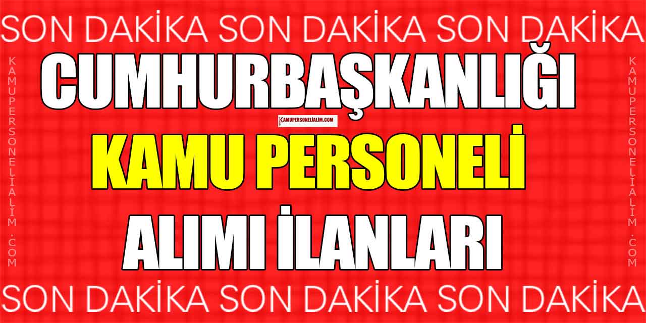 Cumhurbaşkanlığı SSB 7 Kamu Personeli Alımı İlan Kılavuzu