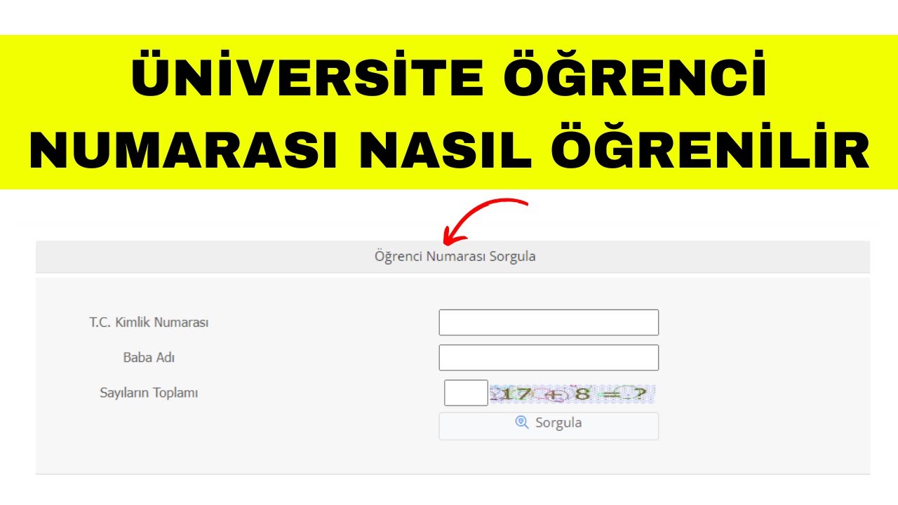 Öğrenci Okul Numarası Öğrenme
