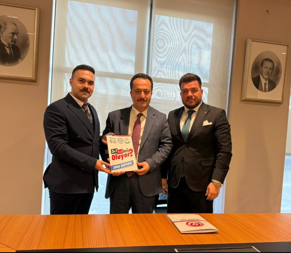Genç Sağlık Sendikası, 3+1
