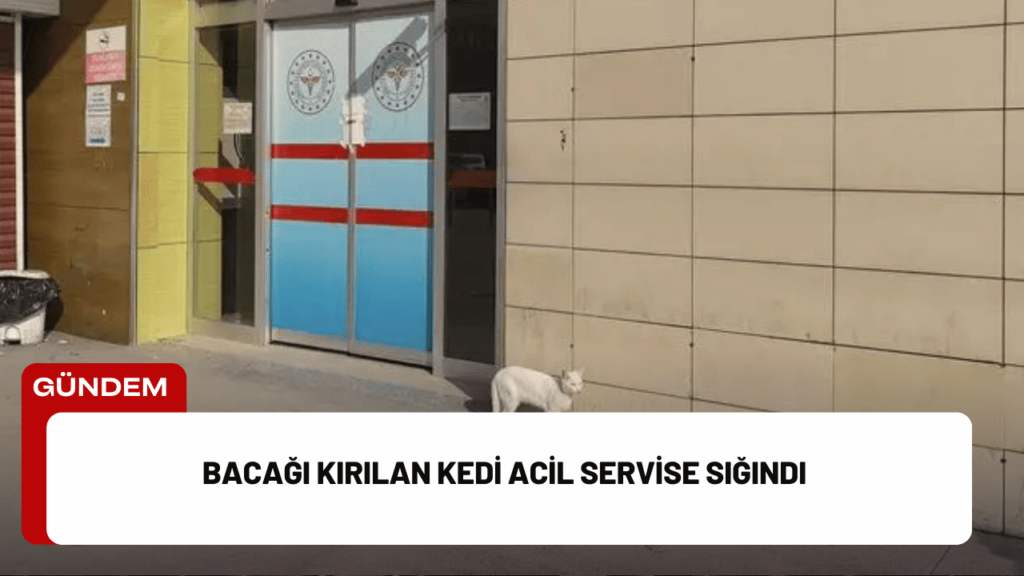 Bursa’nın İnegöl ilçesinde, bir