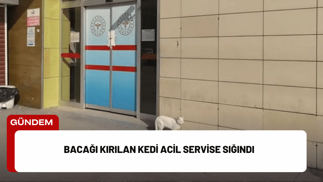 Bursa’nın İnegöl ilçesinde, bir
