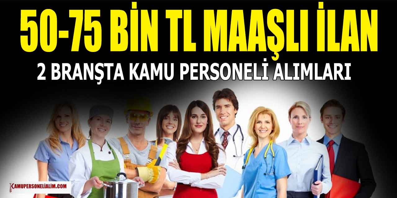 Kamuya 50-75 Bin TL Maaşla 2 Branşta Memur Alımı İlanları