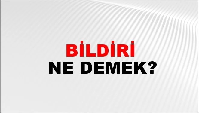 Bildiri Nedir