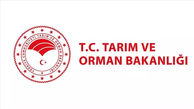 Tarım ve Orman Bakanlığı personel alımı ne zaman, nasıl başvurulur? TARIM VE ORMAN BAKANLIĞI PERSONEL ALIMI