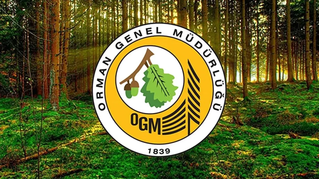 Muhteşem Bekleyiş Başladı: Orman Genel Müdürlüğü’nün 4500 Kişilik İşçi Alımı Kura Çekimi İçin Nefesler Tutuldu!