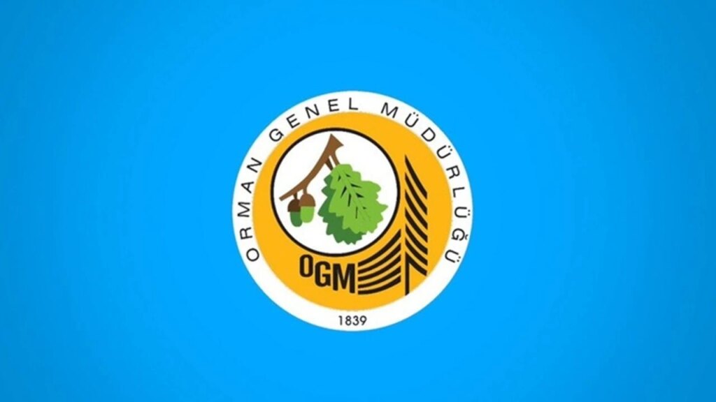 OGM 4500 Personel Alımı: Ormanların Yeni Kahramanları İçin Dev Fırsat Kapıda!